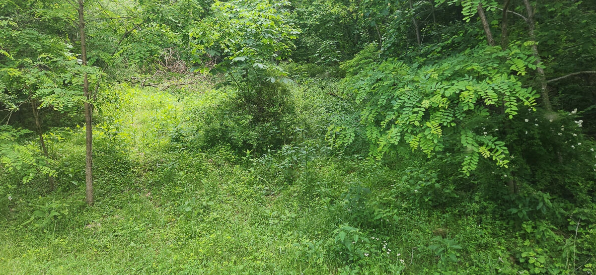 0 Ravens Ridge RD - Photo 29