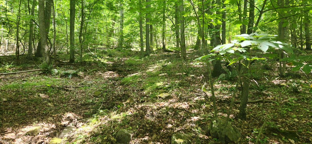 0 Ravens Ridge RD - Photo 3