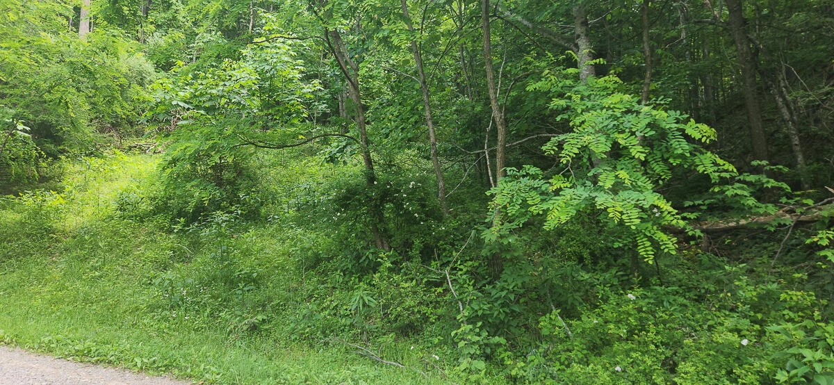 0 Ravens Ridge RD - Photo 30