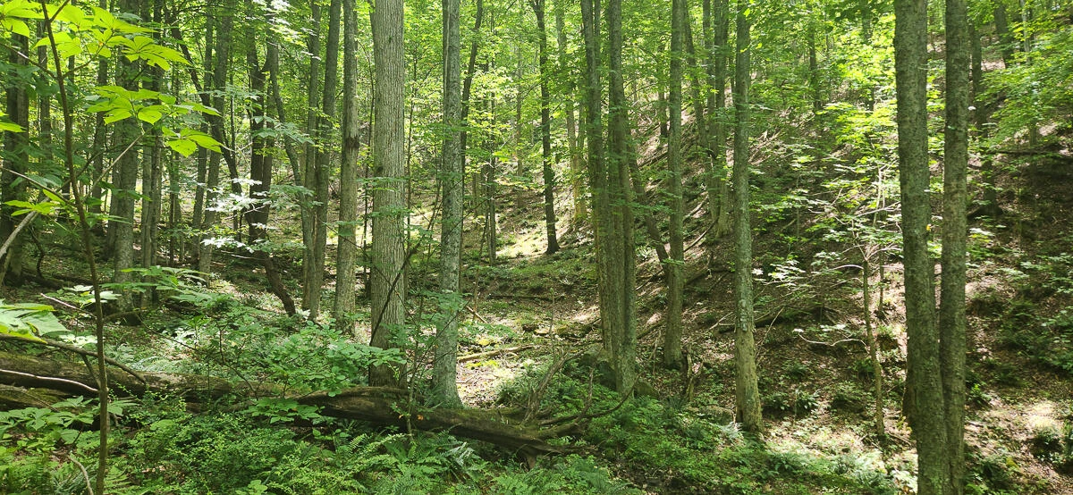 0 Ravens Ridge RD - Photo 8