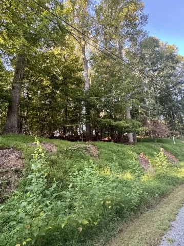 Lot 39 Lakecrest DR, Hardy, VA, 24101