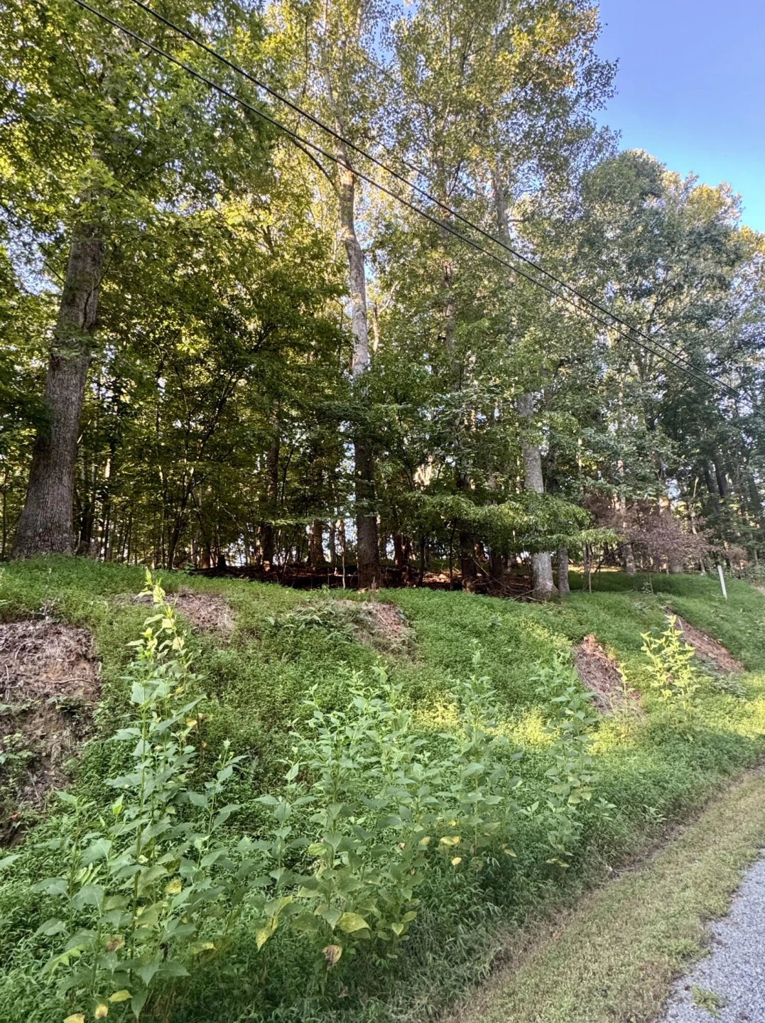 Lot 39 Lakecrest DR