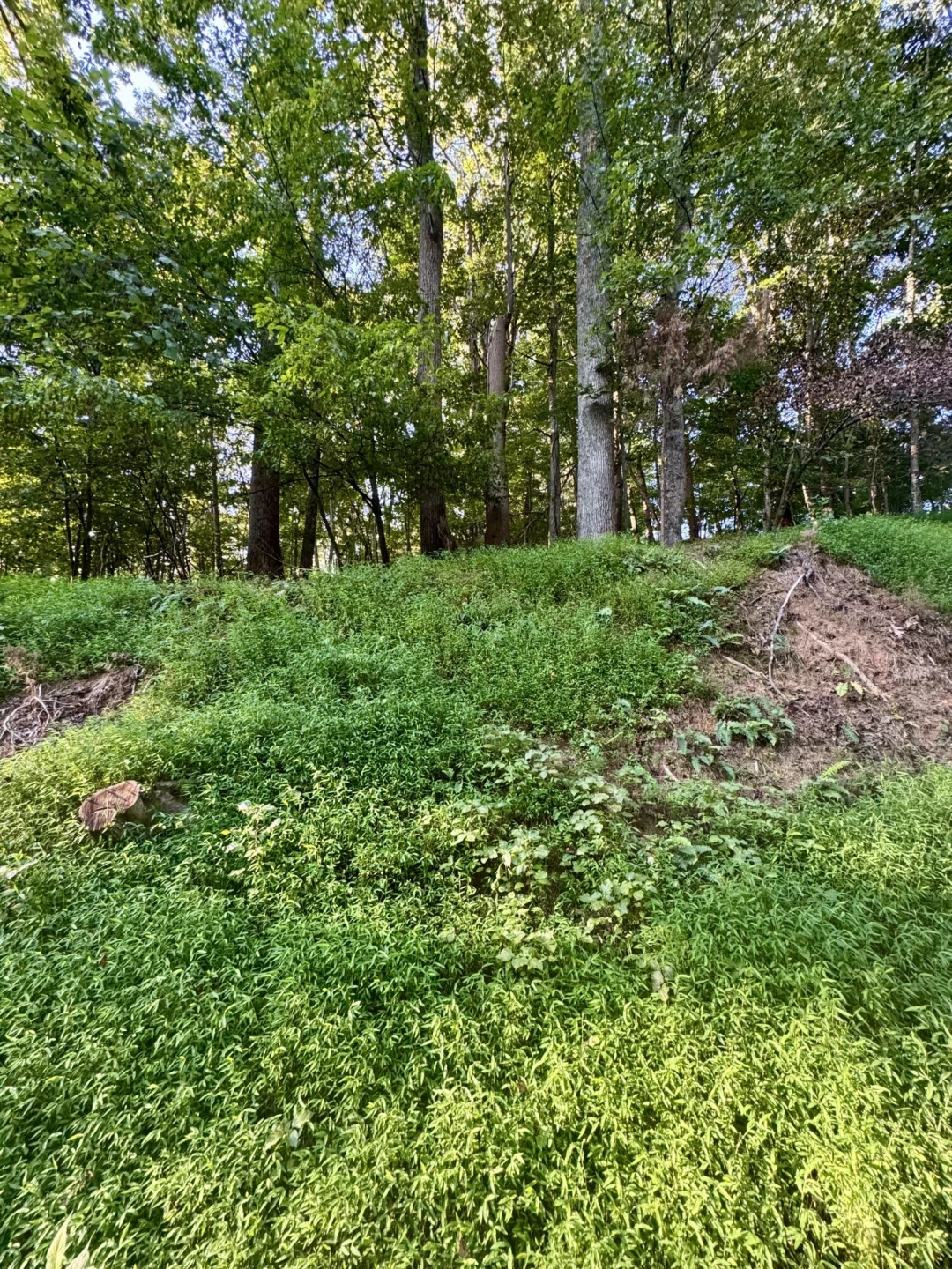Lot 39 Lakecrest DR - Photo 2