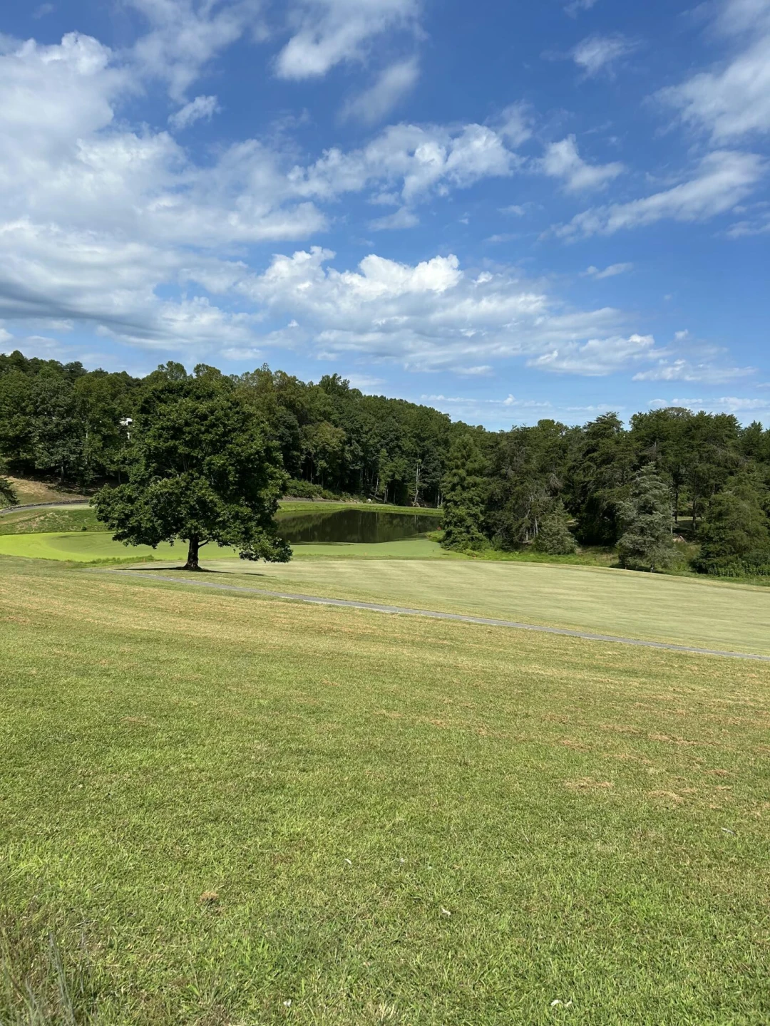 Lot 56 Peaks View DR - Photo 25