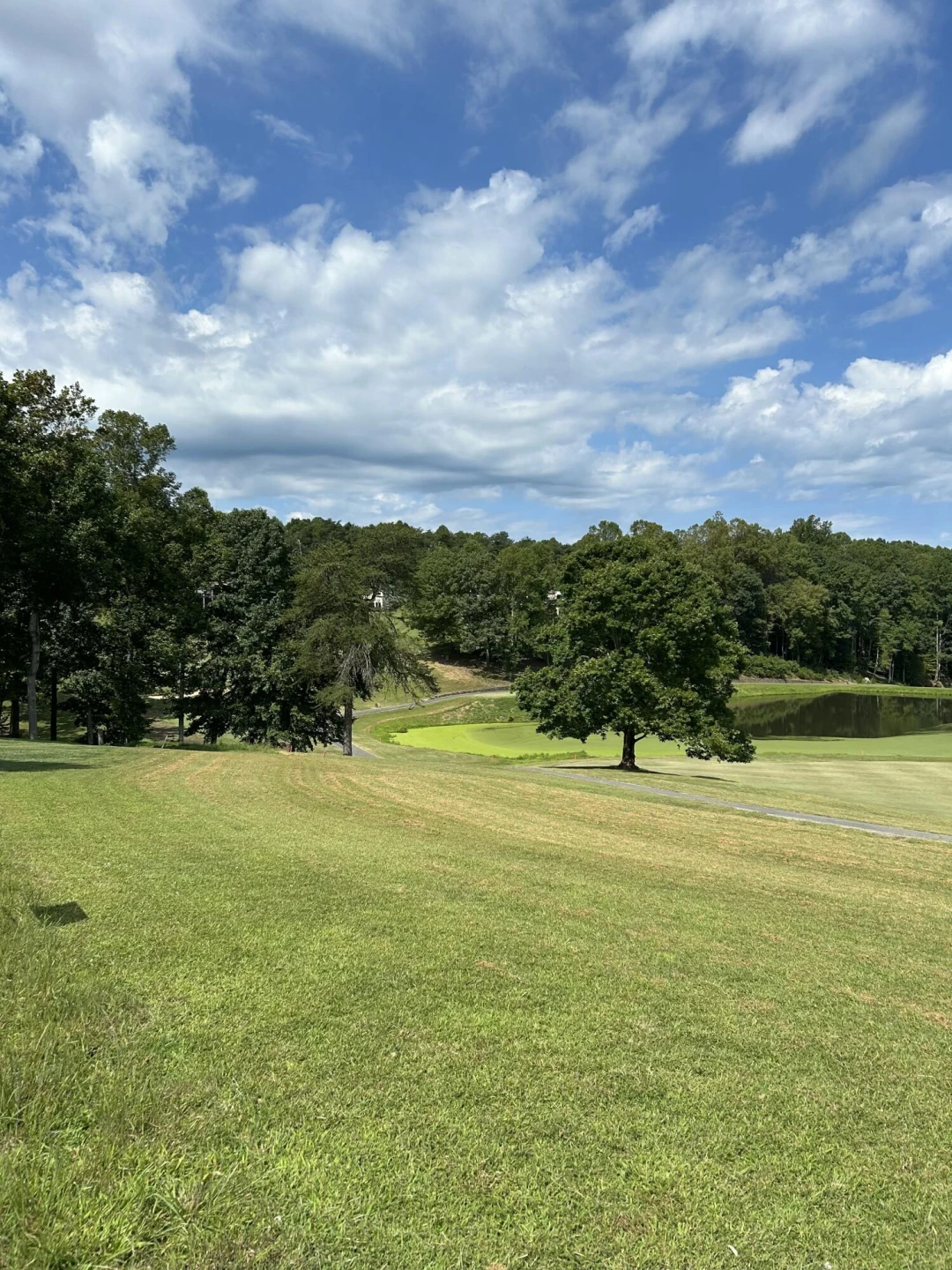 Lot 56 Peaks View DR - Photo 26