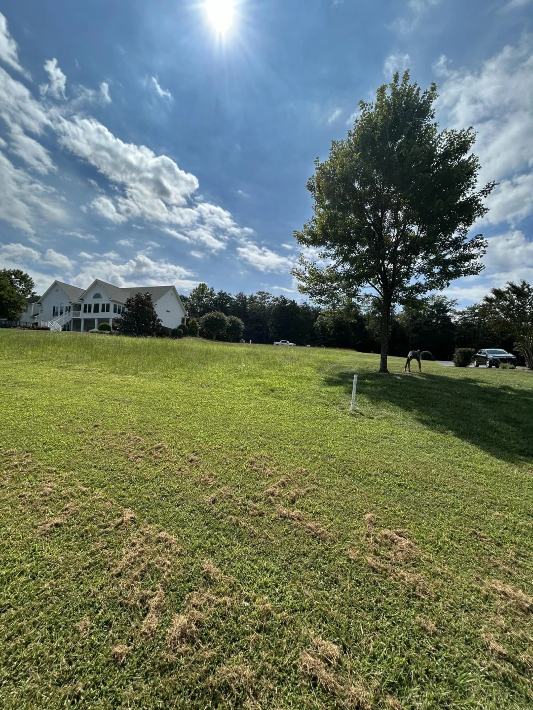 Lot 56 Peaks View DR - Photo 27