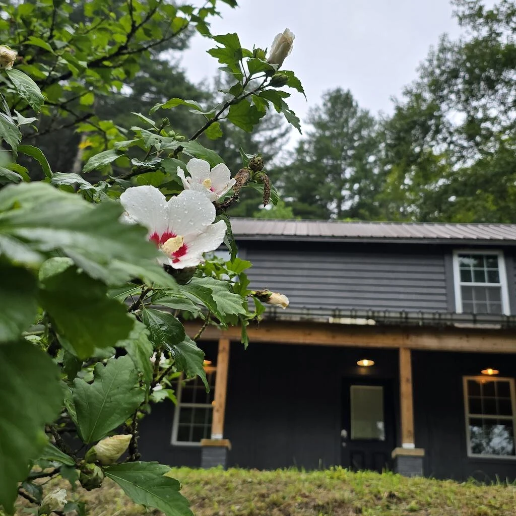 2638 Fishers View RD - Photo 45