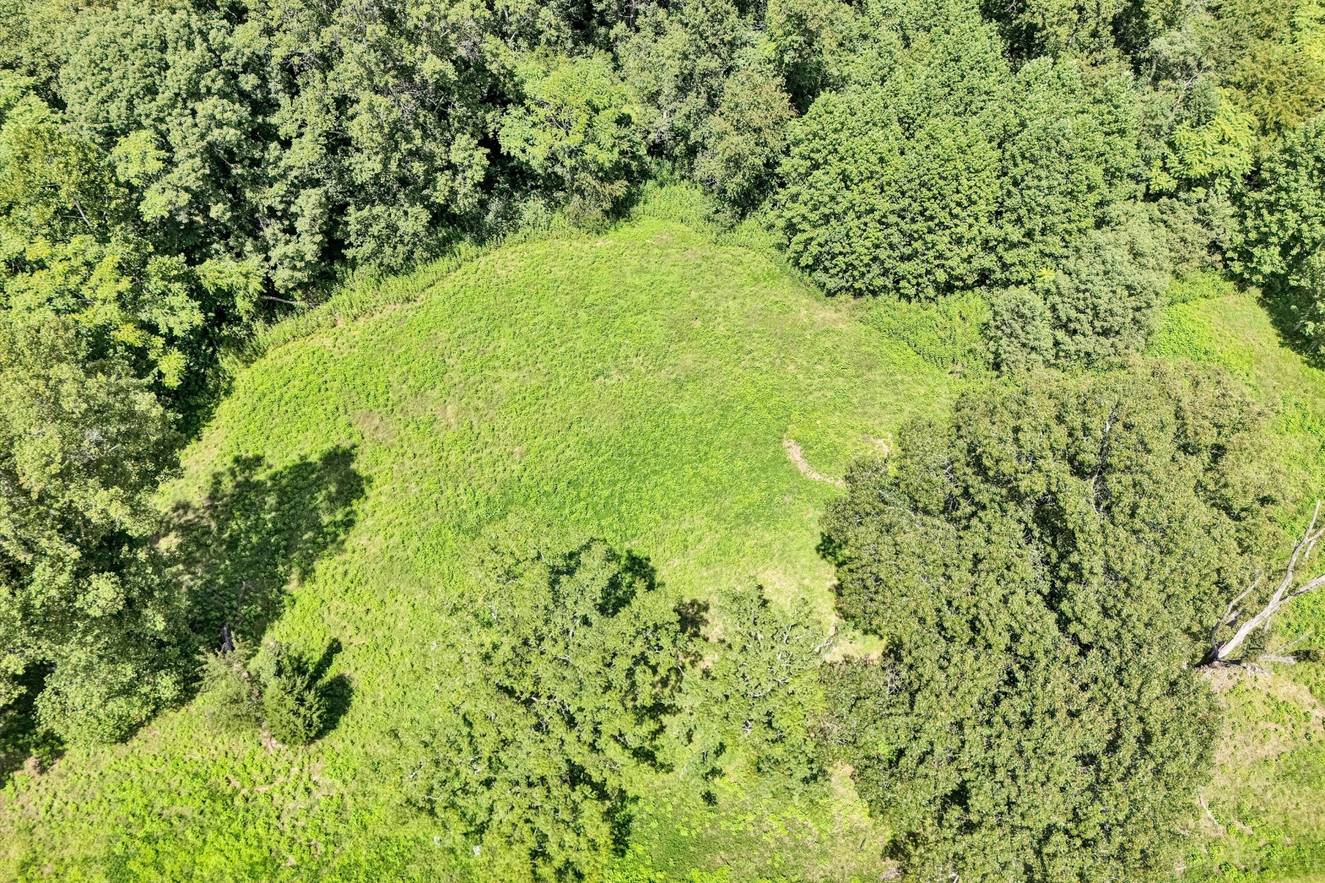 Lot 7 River Rock RD - Photo 2