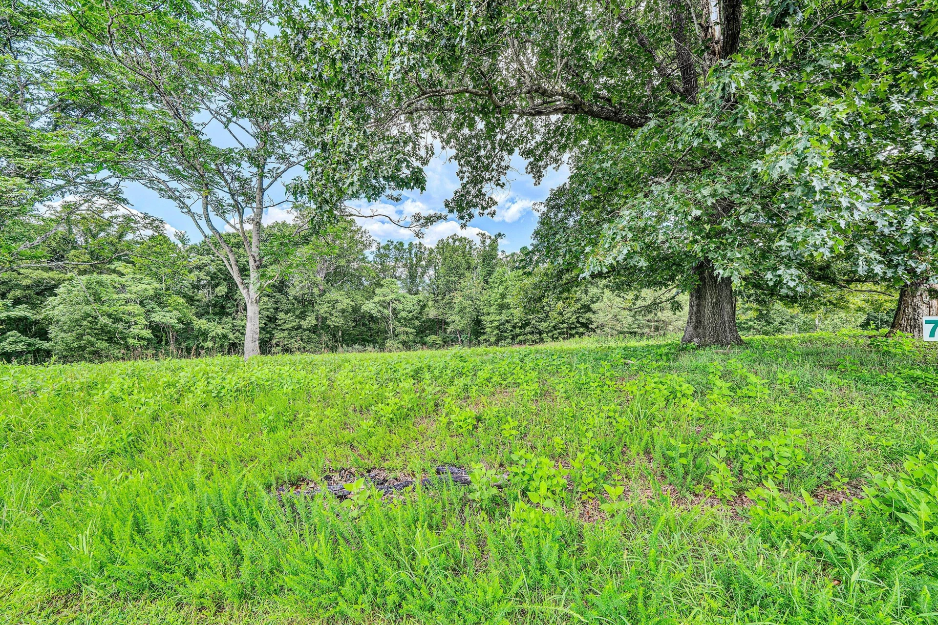 Lot 7 River Rock RD - Photo 3