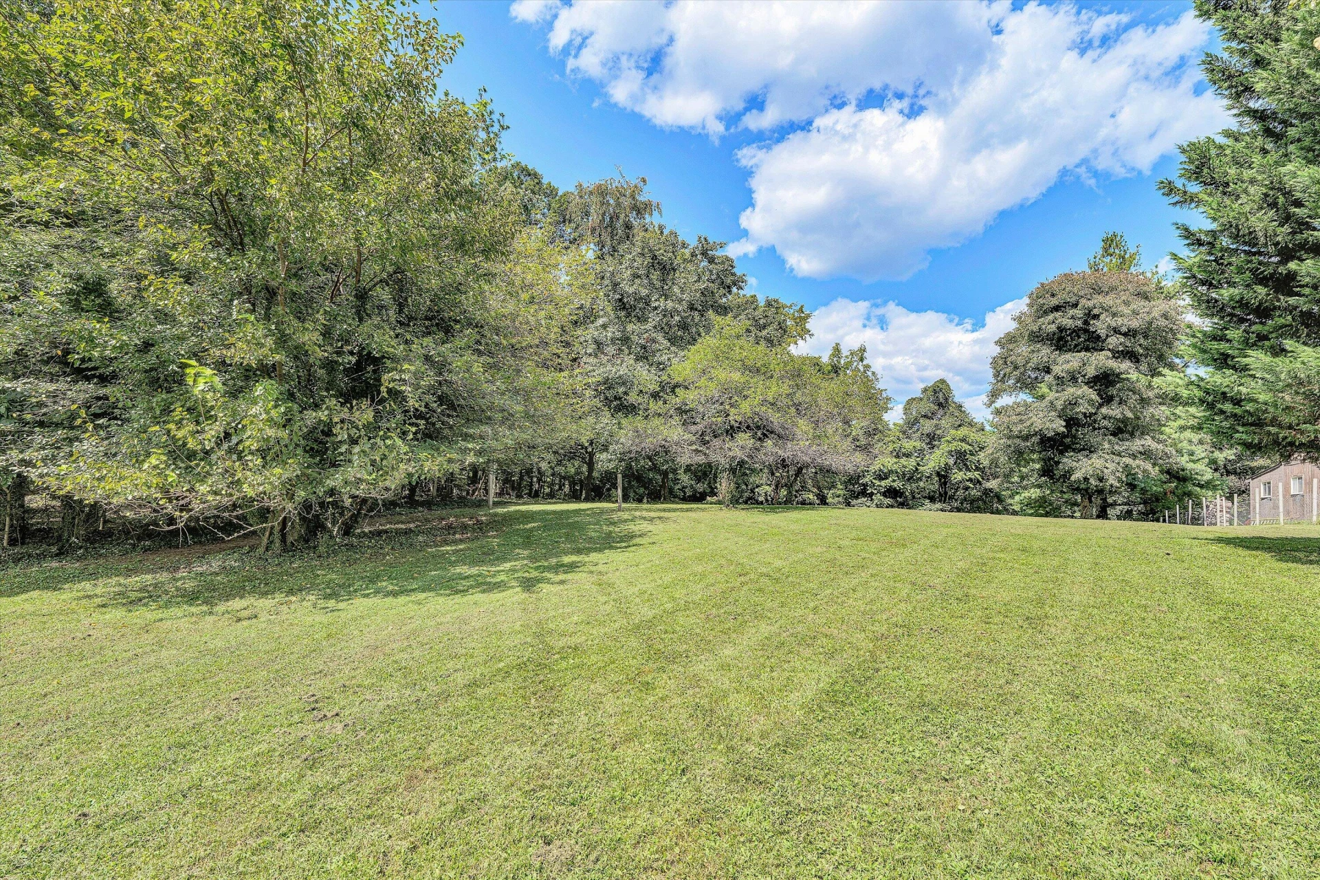 1703 Springfield AVE - Photo 43