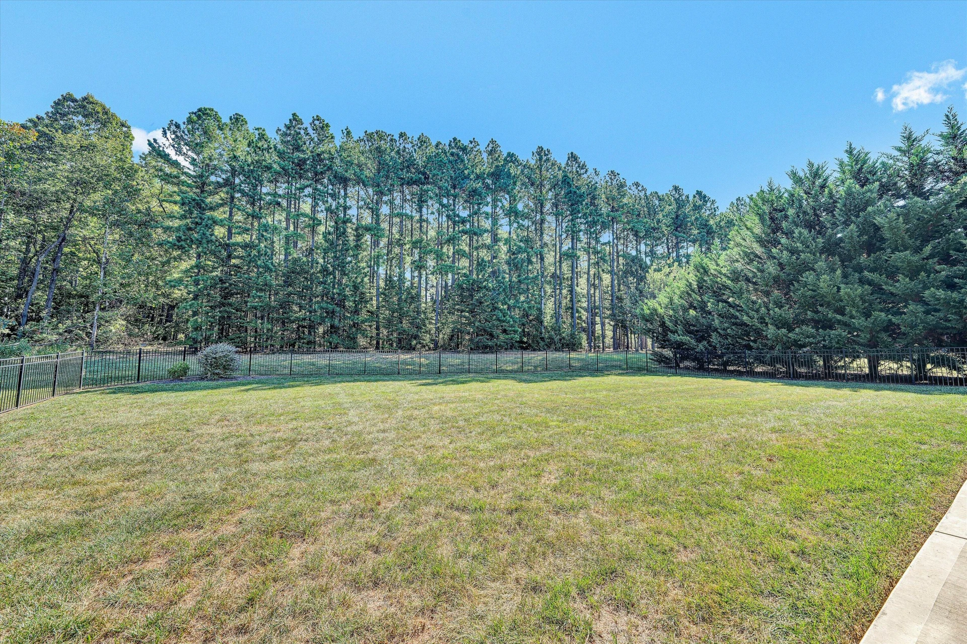 54 Sunview CIR - Photo 37