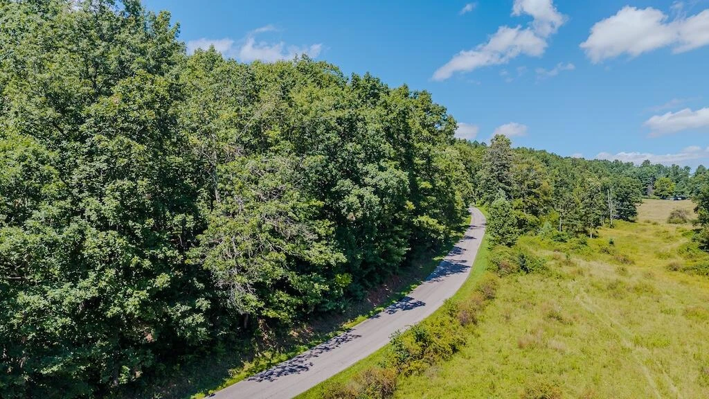 Lot 1 Phadettia RD - Photo 10