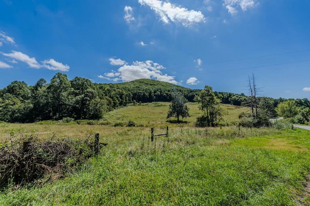 Lot 1 Phadettia RD - Photo 11