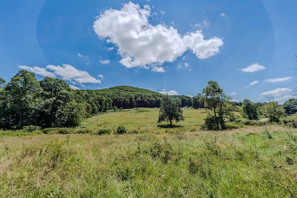 Lot 1 Phadettia RD - Photo 12