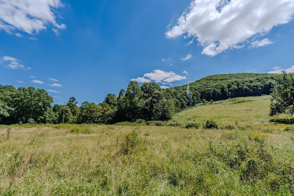 Lot 1 Phadettia RD - Photo 13