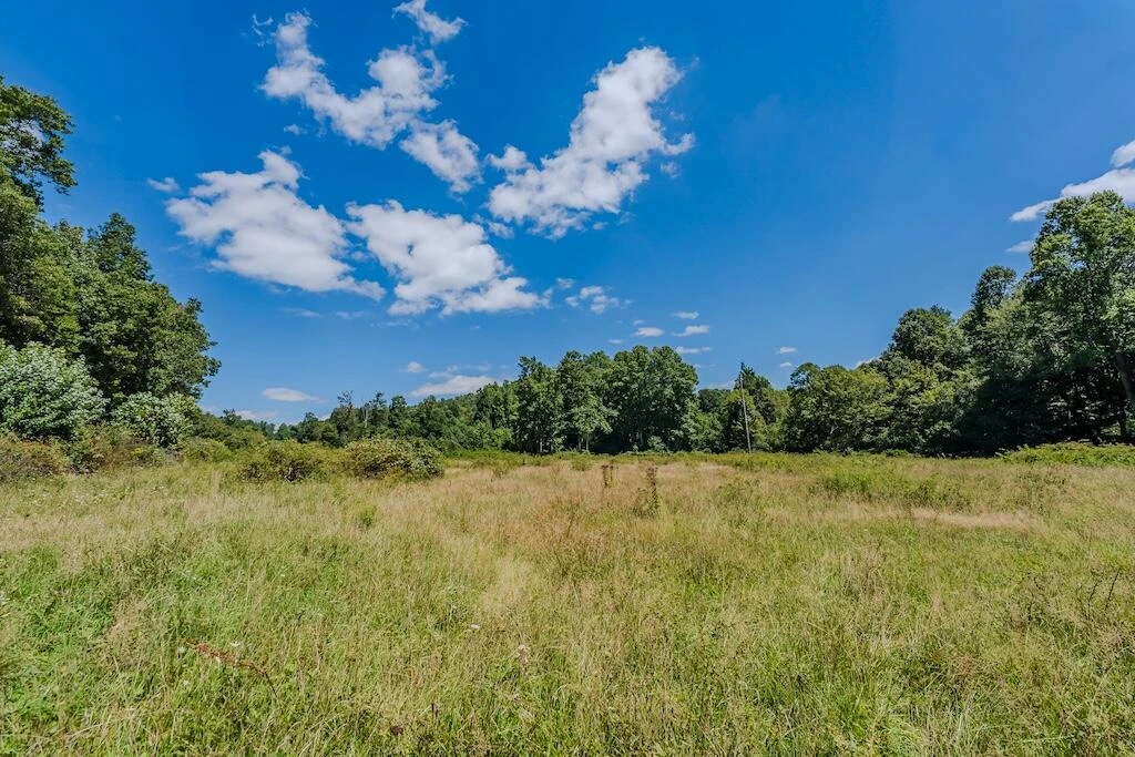Lot 1 Phadettia RD - Photo 14