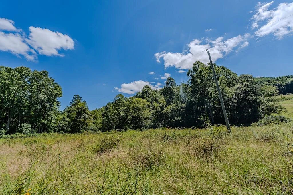 Lot 1 Phadettia RD - Photo 15