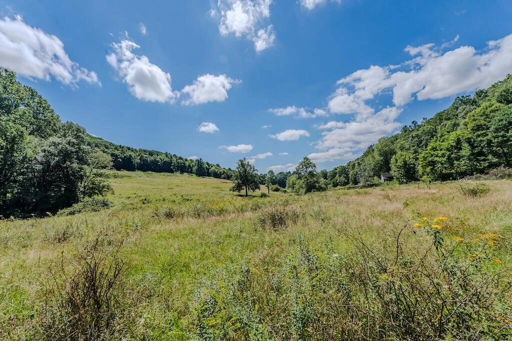 Lot 1 Phadettia RD - Photo 16