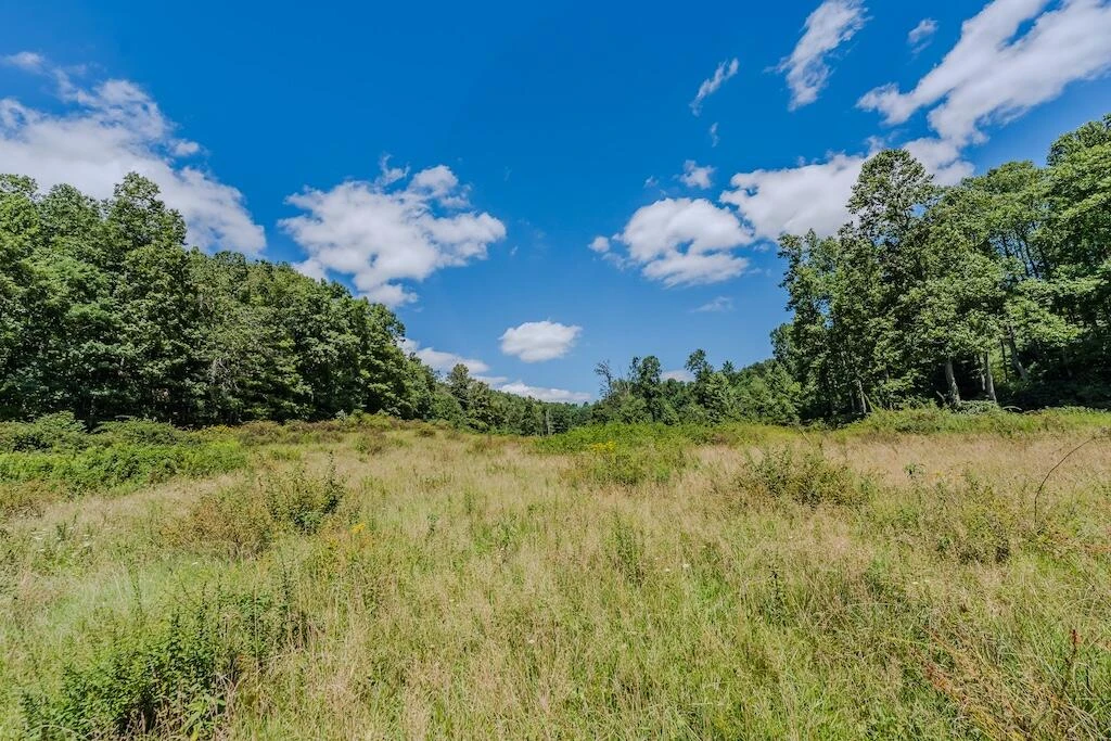 Lot 1 Phadettia RD - Photo 17
