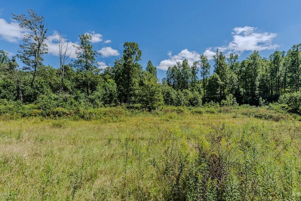 Lot 1 Phadettia RD - Photo 19