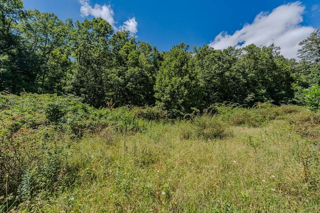 Lot 1 Phadettia RD - Photo 20