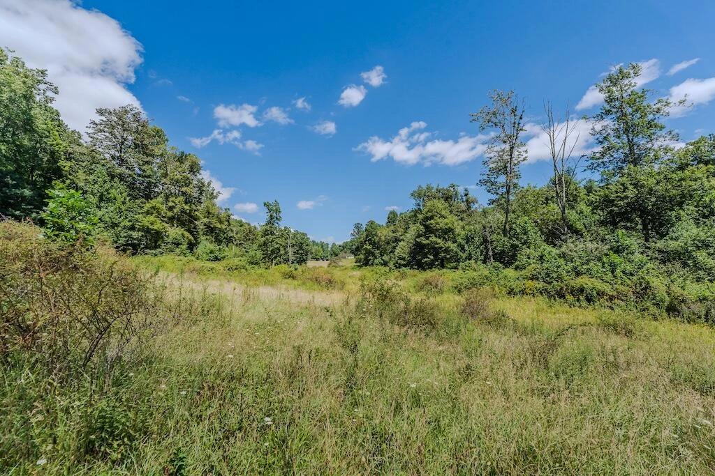 Lot 1 Phadettia RD - Photo 21