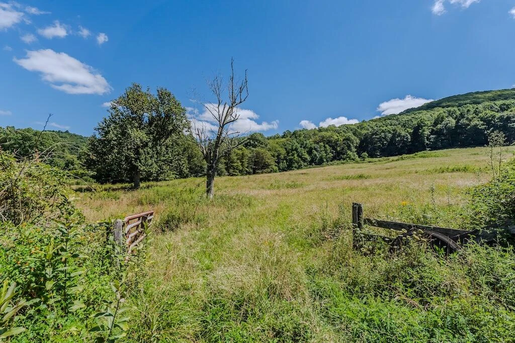Lot 1 Phadettia RD - Photo 22