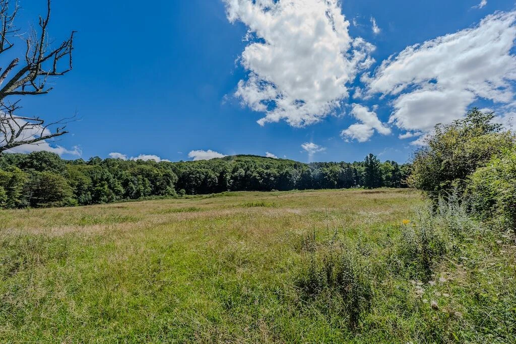 Lot 1 Phadettia RD - Photo 23