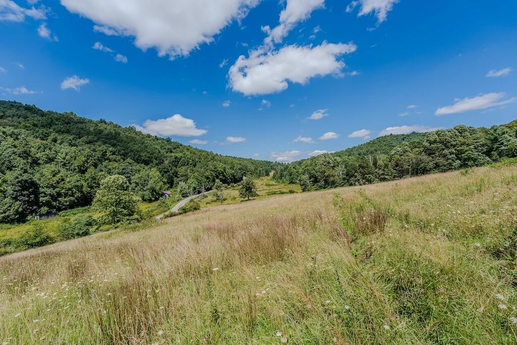 Lot 1 Phadettia RD - Photo 24