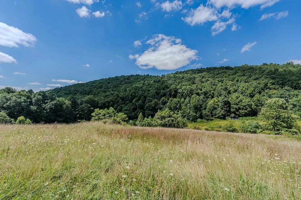 Lot 1 Phadettia RD - Photo 25