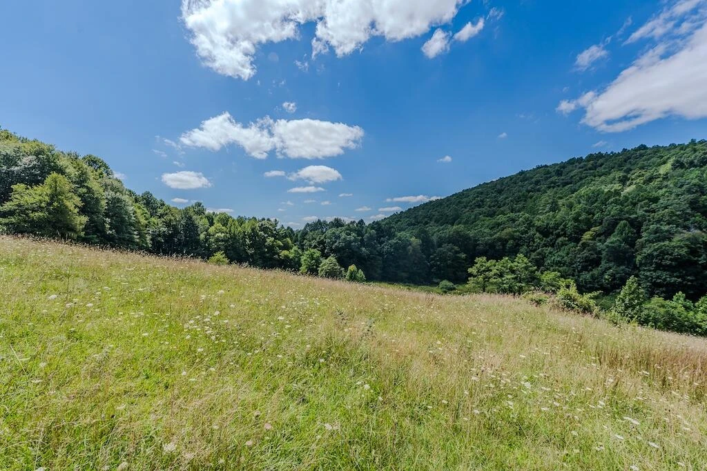 Lot 1 Phadettia RD - Photo 26
