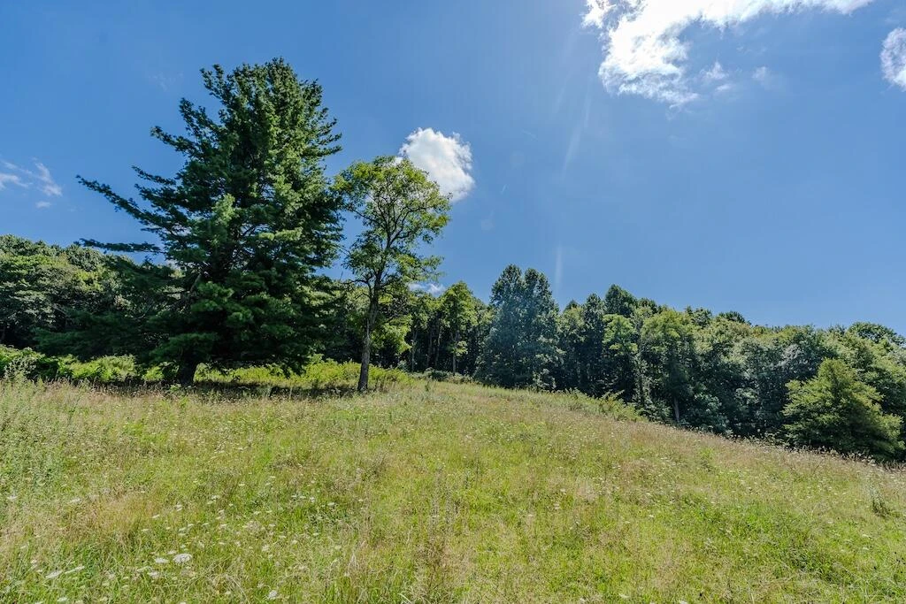 Lot 1 Phadettia RD - Photo 27