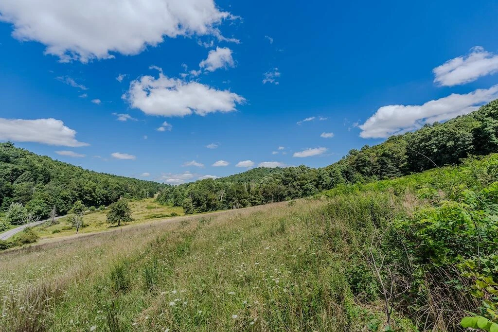 Lot 1 Phadettia RD - Photo 28