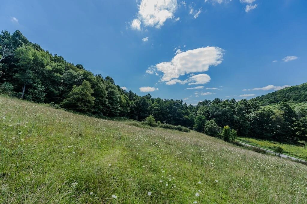 Lot 1 Phadettia RD - Photo 29