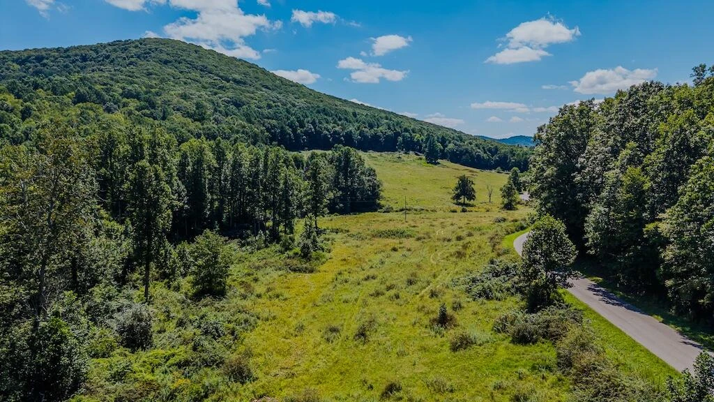 Lot 1 Phadettia RD - Photo 3