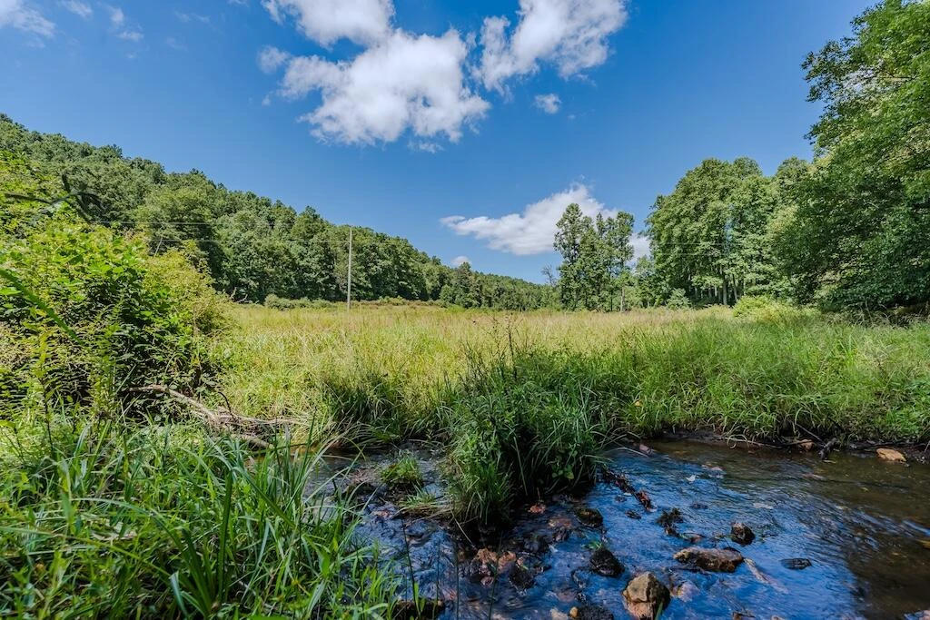 Lot 1 Phadettia RD - Photo 31