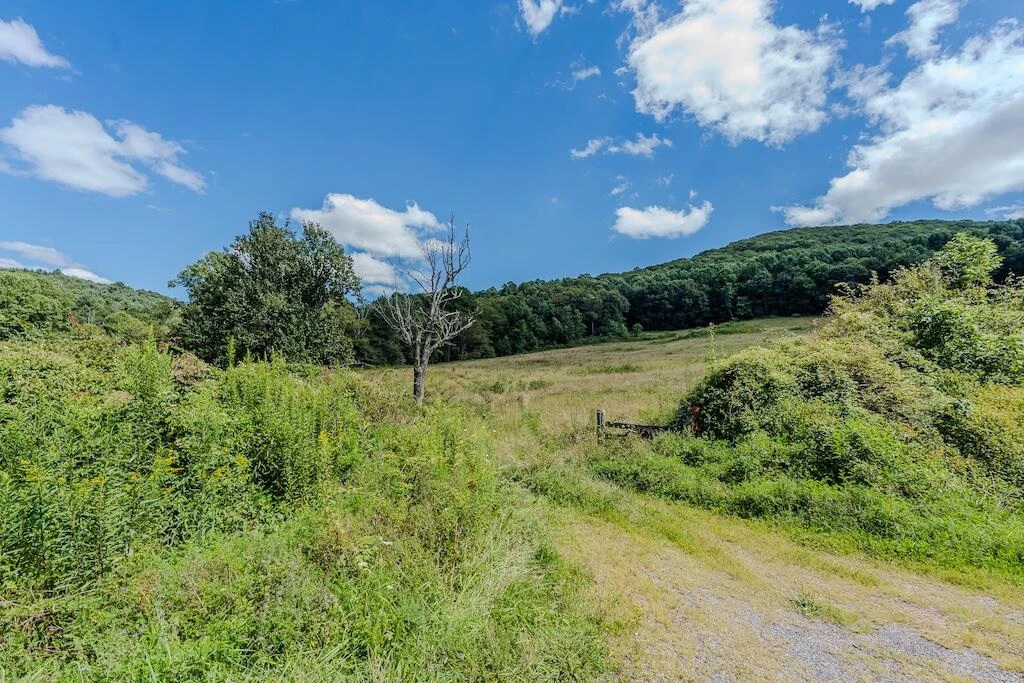 Lot 1 Phadettia RD - Photo 32