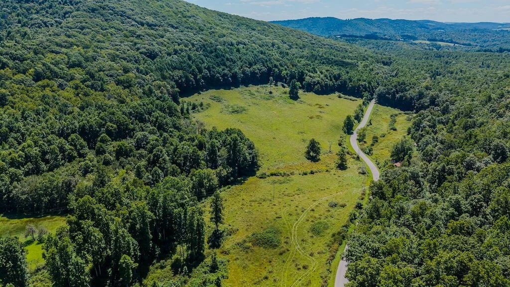 Lot 1 Phadettia RD - Photo 4