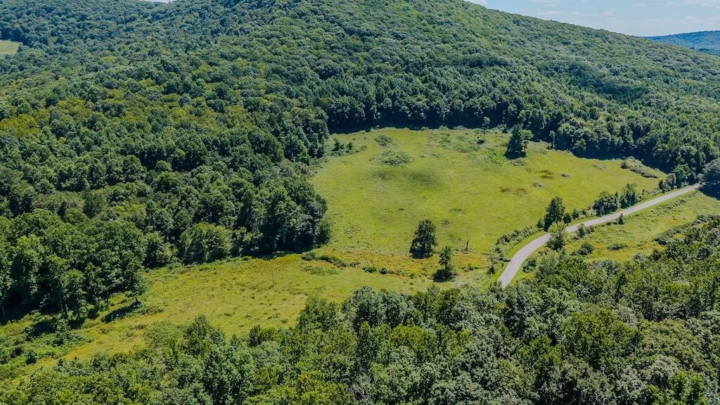 Lot 1 Phadettia RD - Photo 5