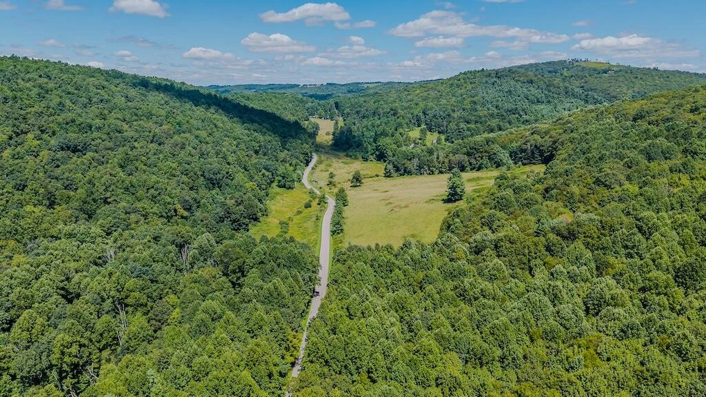 Lot 1 Phadettia RD - Photo 8