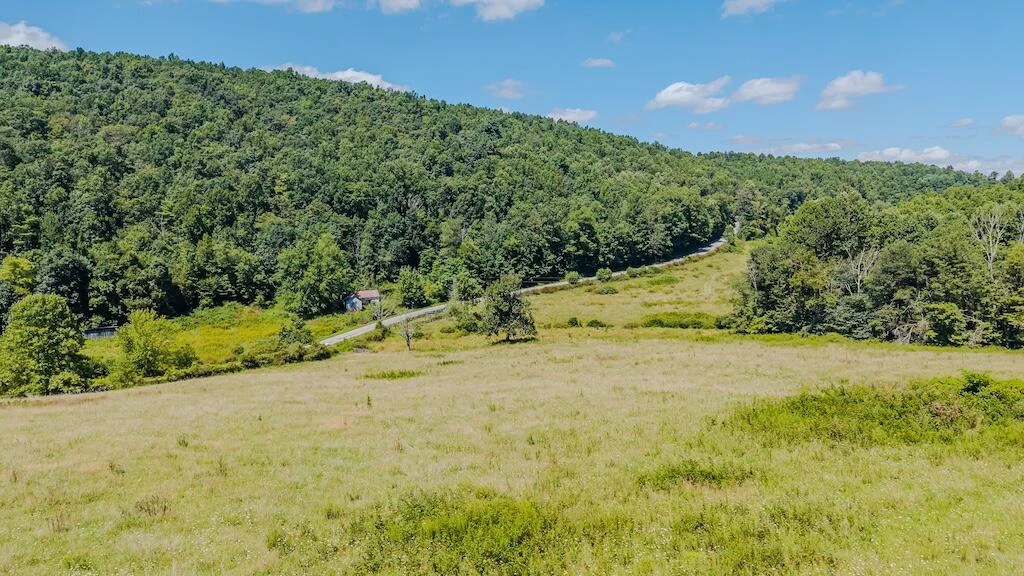 Lot 1 Phadettia RD - Photo 9