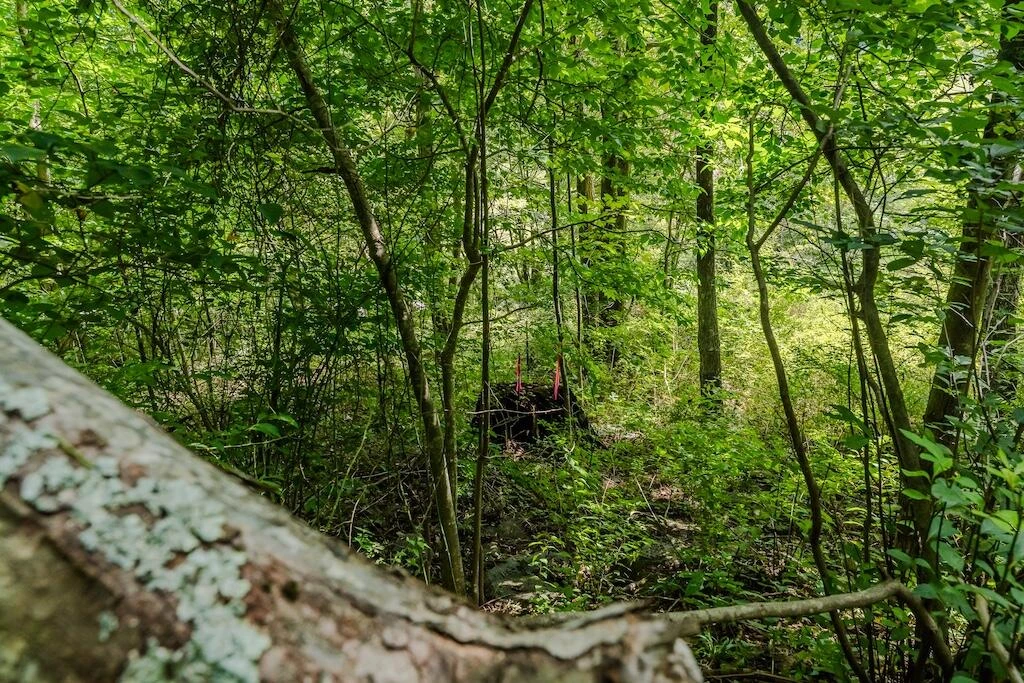 Lot 2 Phadettia RD - Photo 10