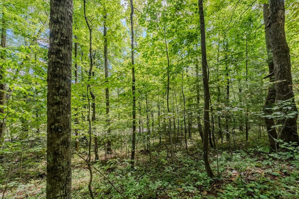 Lot 2 Phadettia RD - Photo 11
