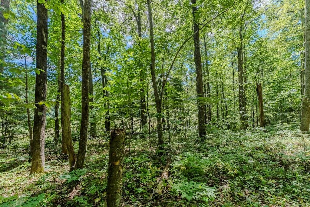 Lot 2 Phadettia RD - Photo 12