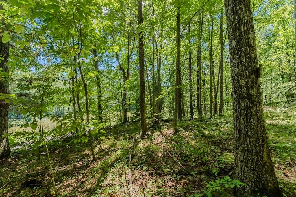 Lot 2 Phadettia RD - Photo 13