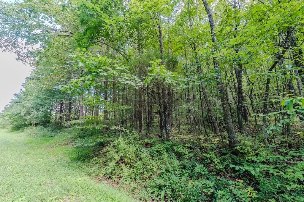 Lot 2 Phadettia RD - Photo 15