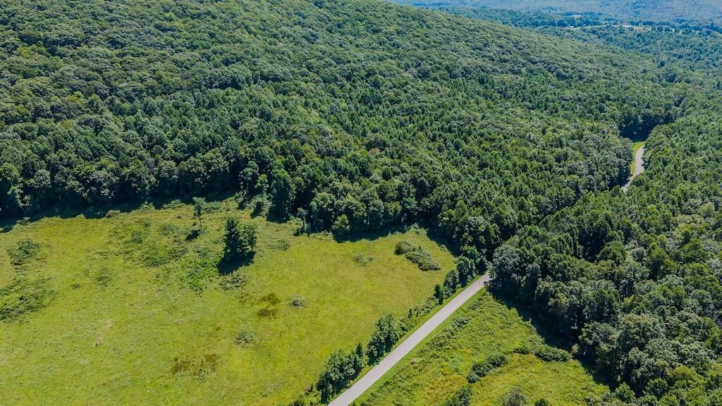 Lot 2 Phadettia RD - Photo 3