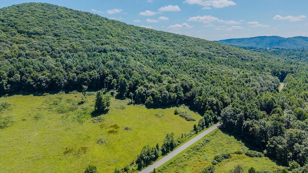 Lot 2 Phadettia RD - Photo 4