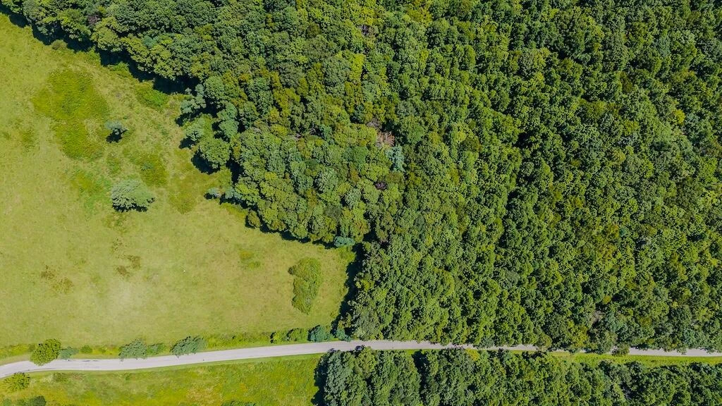 Lot 2 Phadettia RD - Photo 5