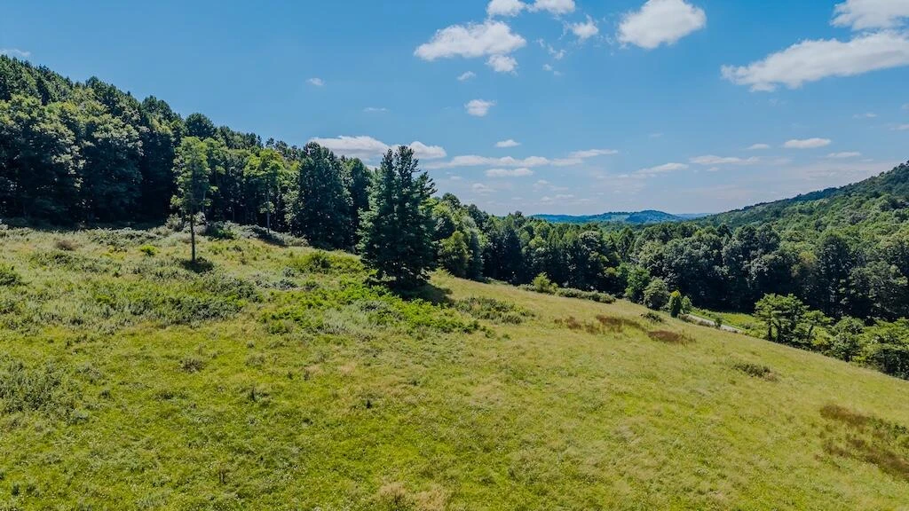 Lot 2 Phadettia RD - Photo 6